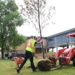 Machinerie et travailleurs plantant un arbre